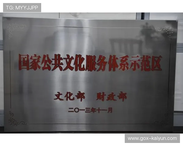 公共服务标准体系加速完善，区域差异化试点成效显著